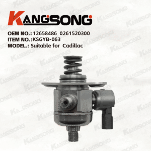 Applicable to Cadillac/12658486 0261520300/High pressure fuel pump/KSGYB-063