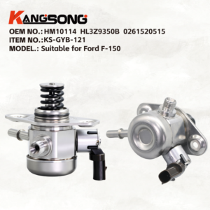 KANGSONG-GYB-121/HM10114 HL3Z9350B 0261520515/Ford F-150 3.5L