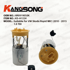 Applicable to VW Skoda Rapid MK1/6R0919050K/Fuel Pump Assembly/KS-A1224