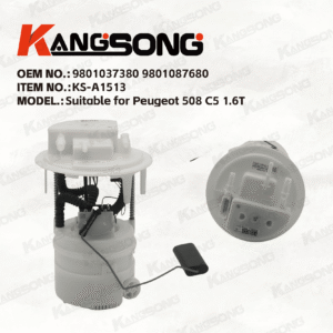Applicable to Peugeot 508/9801037380 9801087680/Fuel Pump Assembly/KS-A1513