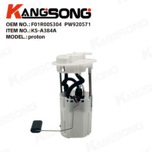 Fuel Pump Assembly/F01R00S304，PW920571/Proton