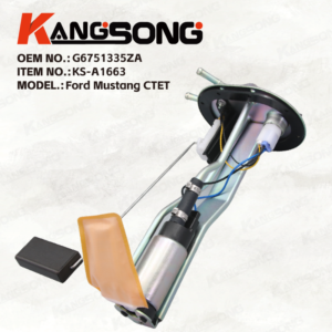 Fuel Pump Assembly/G6751335ZA/Ford Mustang CTET
