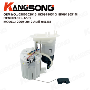 Fuel Pump Assembly/0580202016，8K0919051G，8K0919050L/Audi