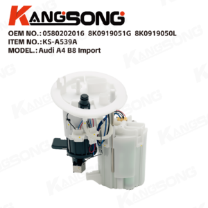 Fuel Pump Assembly/0580202016，8K0919051G，8K0919050L/Audi