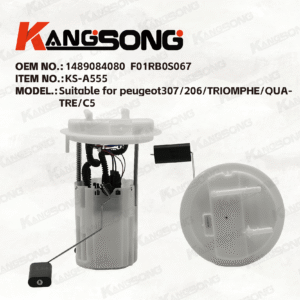 Applicable to Peugeot Citroen /1489084080 F01RB0S067/Fuel Pump Assembly/KS-A555