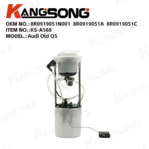 Fuel Pump Assembly/8R0919051N001，8R0919051A，8R0919051C/Audi