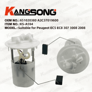 Applicable to Peugeot EC5 EC8/651020380 A2C37019600 /Fuel Pump Assembly /KS-A594