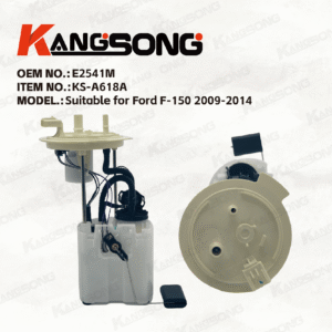 Applicable to Ford Raptor F-150/E2541M/Fuel pump assembly/KS-A618A