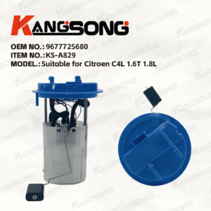 Applicable to Citroen/9677725680/Fuel Pump Assembly/KS-A829