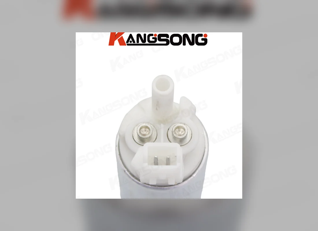 Which carton is the gauge sender, and which is the motor? Two-pin plug and outlet tube on the Kangsong electric fuel pump canister